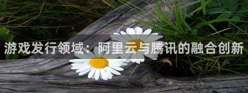 杏耀集团公司怎么样：游戏发行领域：阿里云与腾讯的融合创新