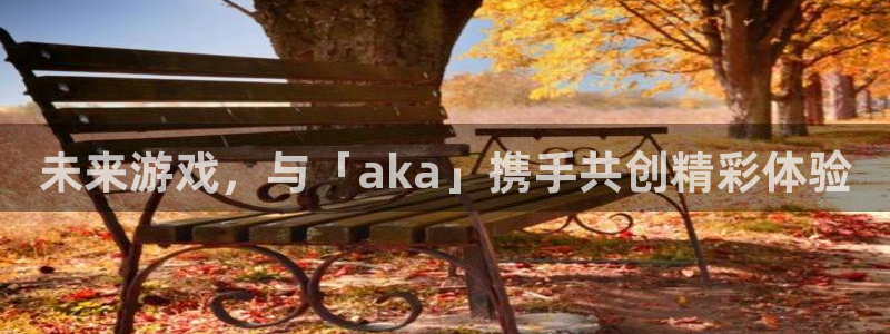 杏耀官网挂机项目怎么样：未来游戏，与「aka」携手共创精彩体验