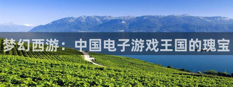 杏耀子酒业：梦幻西游：中国电子游戏王国的瑰宝