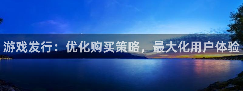 杏耀电子科技怎么样：游戏发行：优化购买策略，最大化用户体验