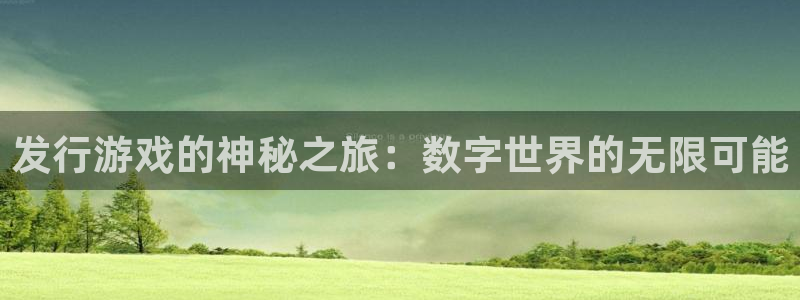 杏耀官网注册方法是什么：发行游戏的神秘之旅：数字世界的无限可能