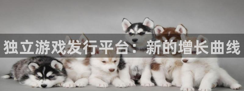杏耀电子科技：独立游戏发行平台：新的增长曲线