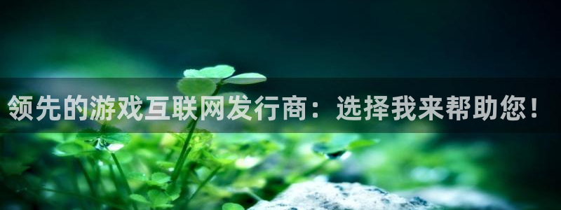 杏耀服装：领先的游戏互联网发行商：选择我来帮助您！