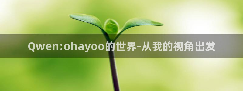 四川杏耀科技有限公司：Qwen:ohayoo的世界-从我的视角出发