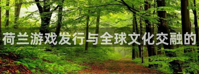 杏耀官网分分彩：荷兰游戏发行与全球文化交融的