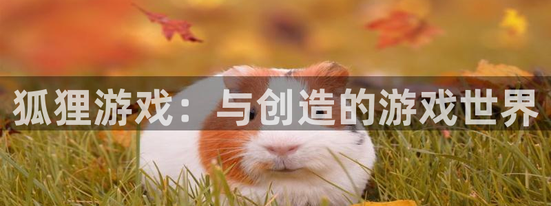 杏耀官网注册登录不了：狐狸游戏：与创造的游戏世界