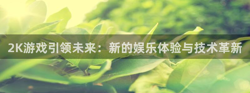 杏耀官网平台怎么样：2K游戏引领未来：新的娱乐体验与技术革新