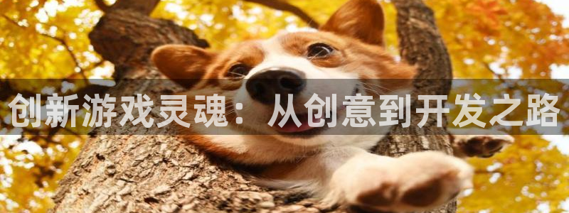 杏耀集团董事长刘一辰简历