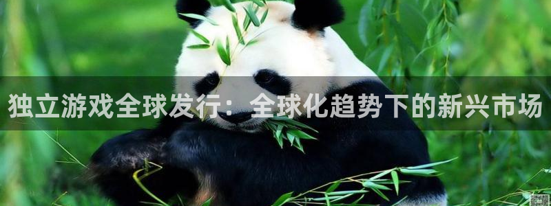 陕西杏耀子文化创意有限公司有什么游戏