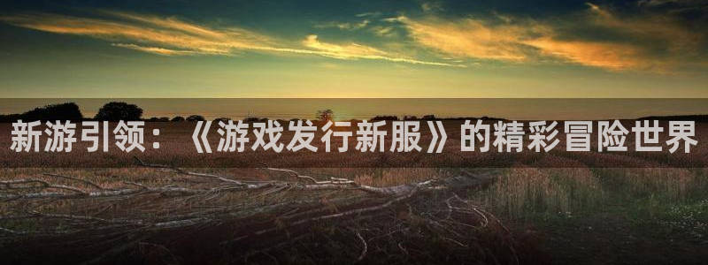 杏耀子上市