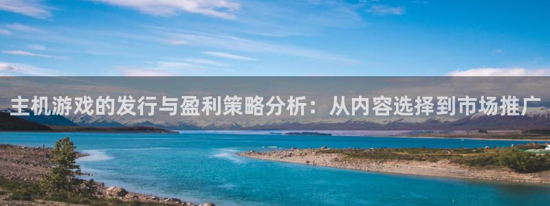 杏耀电商怎么样：主机游戏的发行与盈利策略分析：从内容选择到市场推广