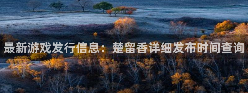 杏耀电子商务有限公司招聘