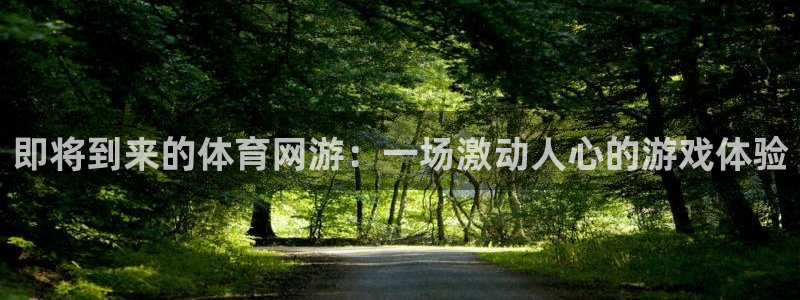 杏耀电子科技怎么样