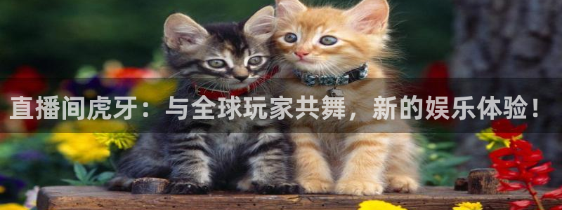 龙门体育视频直播：直播间虎牙：与全球玩家共舞，新的娱乐体验！