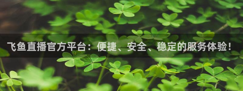 nba直播免费观看直播在线龙门：飞鱼直播官方平台：便捷、安全、稳定的服务体验！