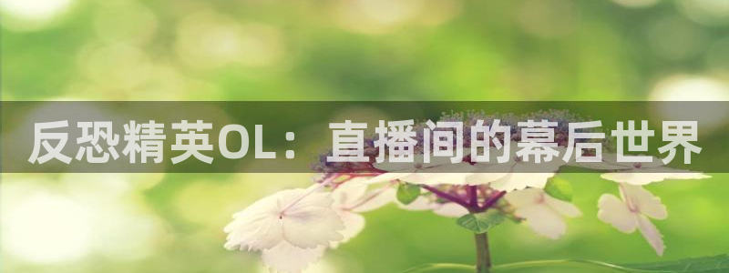 龙门直播在线直播：反恐精英OL：直播间的幕后世界